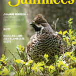 Jahimees_03_2021_cover