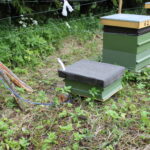 Korralikult elektrikarjusega ümbritsetud mesila on karule raskesti kättesaadav. Foto Uno Treier