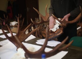 Jahitrofeede päev Tallinnas