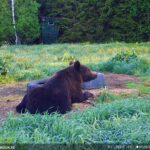 Karurünnaku ohver Raido: mingi must kogu oli seljas, tiris keefiripaki kotist välja
