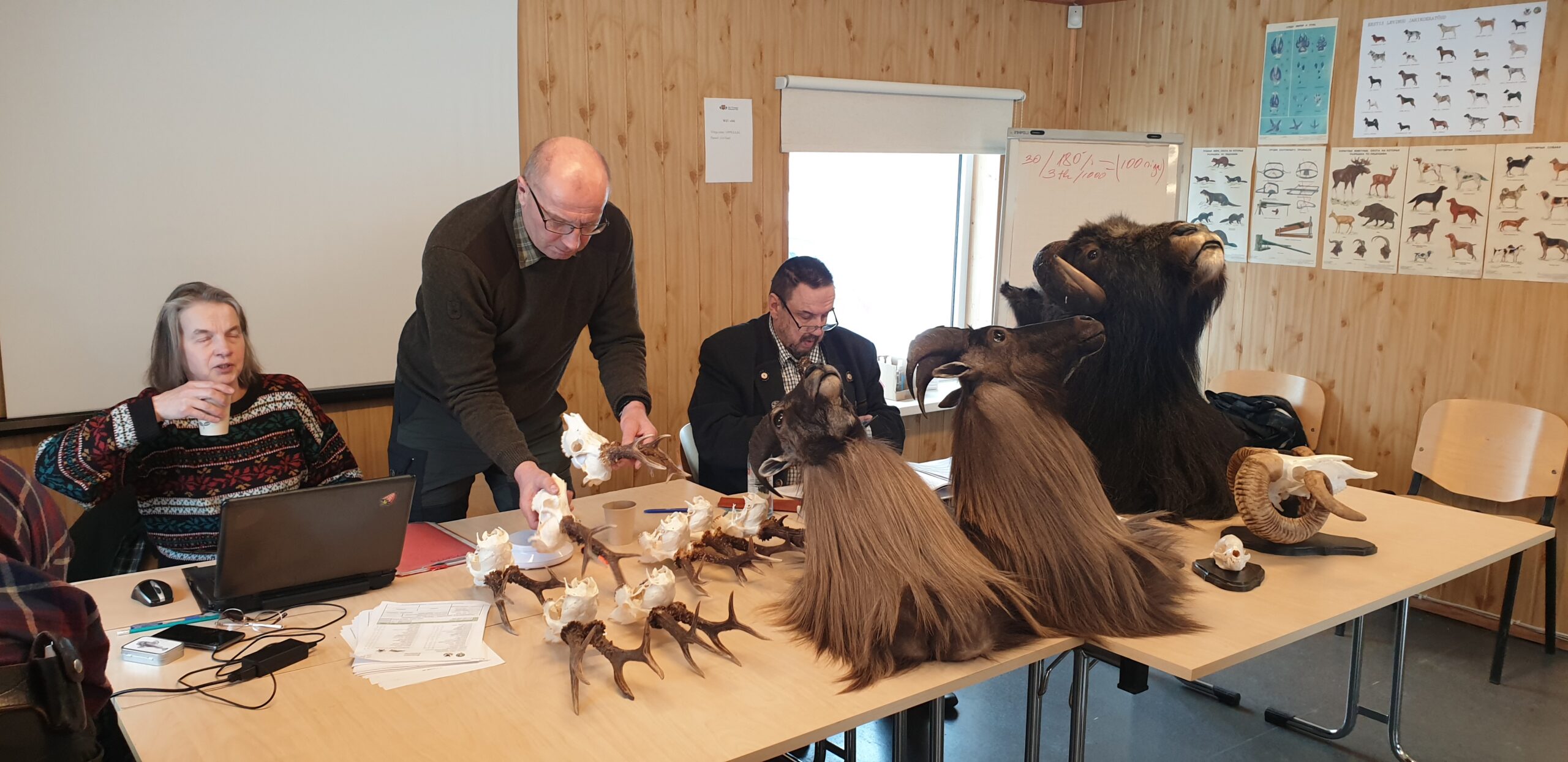 ida-viru trofee mõõtmine