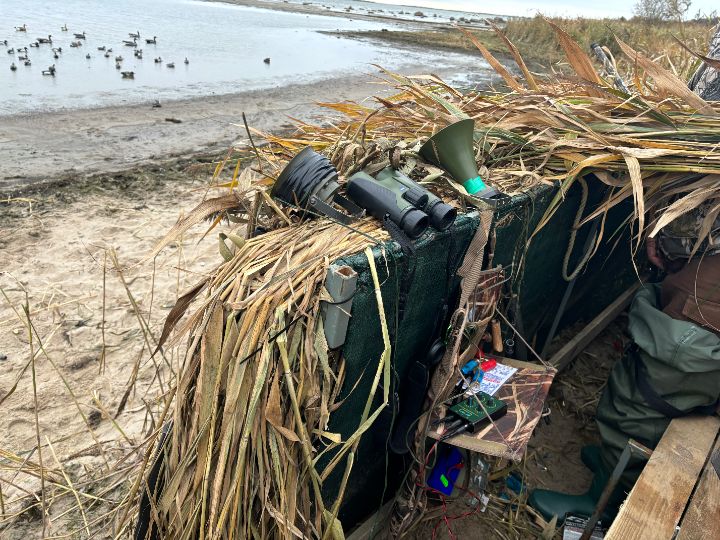 Ebaseaduslik peibutusvahend_foto Keskkonnaamet (2)