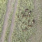 Jahimehed said droonikasutamise juhendi