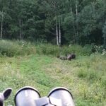 Karu rünnak Lääne-Virumaal tõstatab küsimusi populatsiooni ja ohutuse kohta