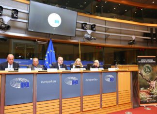 Plii kasutamise piiramine laskemoona tootmises Euroopas: mõjud ja tagajärjed