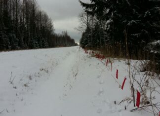 Huntide küttimismaht täitus Viljandimaa lõunaosas välgukiirusel