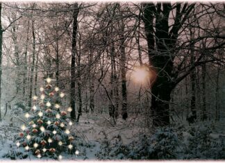 Pressiteade: Jahimehed kuulutavad välja jahirahu