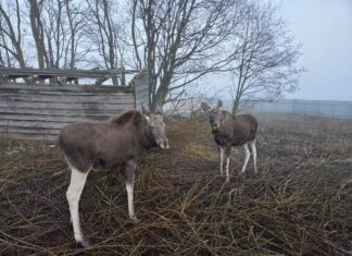 Jahimeeste rääkimata lood