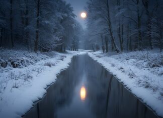 EJS juhatuse kiri ministrile Loomuse ettepanekute asjus