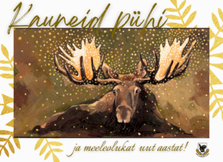 Soovime rahulikke, rõõmsaid ja valgeid pühi!