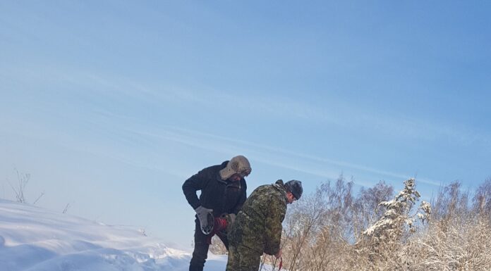 Hundi küttimismahtu suurendati