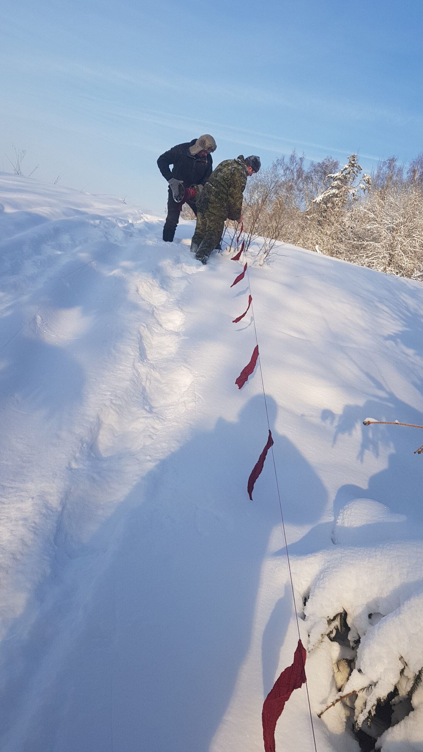 Keskkonnaamet andis 16. jaanuari korraldusega välja jahimeestele veel 33 hundijahiluba lisaks. Lisa küttimismahud kehtestati Harju, Järva, Lõuna-Läänemaa, Lõuna