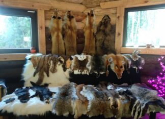 Nahaparkija viib haruldase oskuse koolidesse