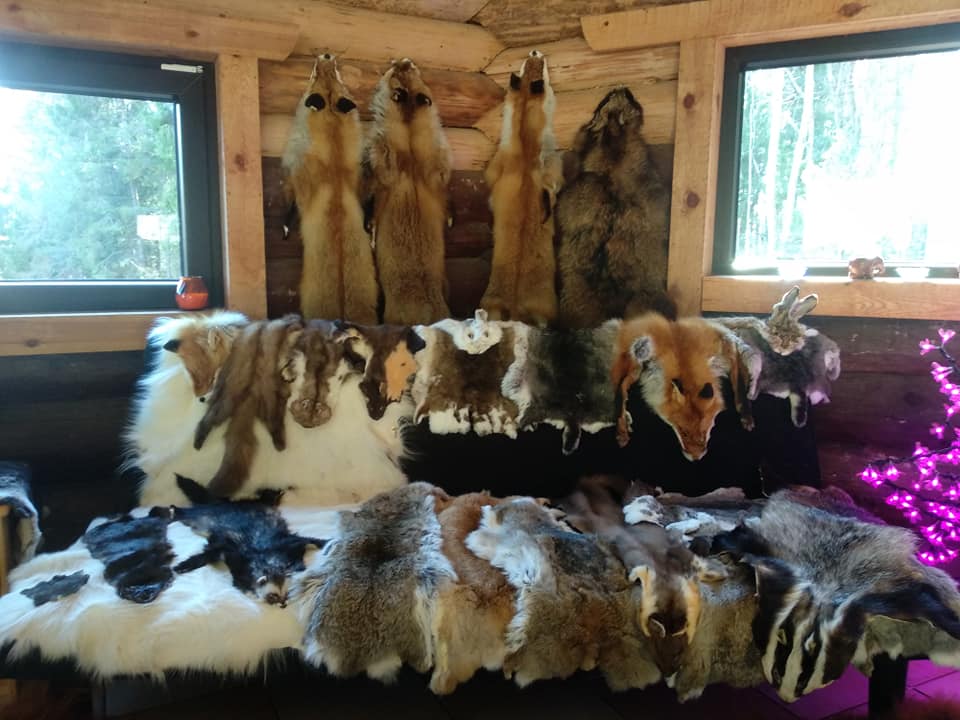 nahaparkimise koolitus