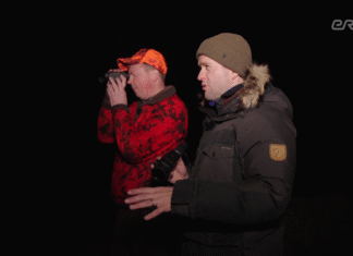 “Osoonis” uuriti kuidas katkulevikut metsas tõkestada