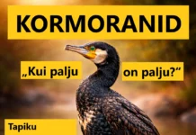 Tapiku raamatukogus toimub arutelu kormoranide teemal