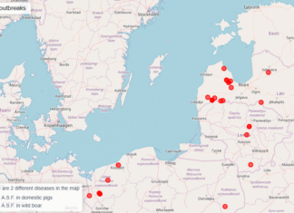 Möödunud nädalal katku ei tuvastatud