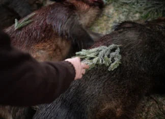 Üleskutse jahimeestele: jaga lugu oma esimesest jahisaagist