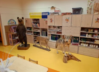 Metslooma nädal Kiili Lasteaias