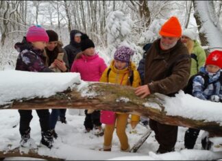 Laste õppeprogrammid ja koolitus juhendajatele