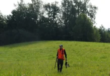 Hanelistele tohib jahti pidada ka sel kevadel