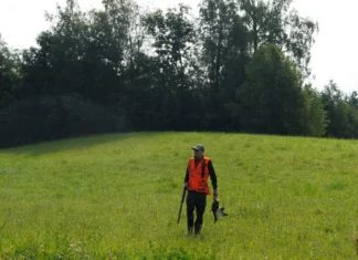 Hanelistele tohib jahti pidada ka sel kevadel