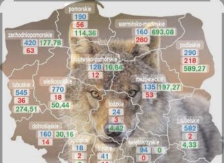 Hundipopulatsioon Poolas kasvab, sagenenud on rünnakud kariloomadele