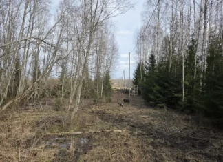 Seakatku ennetamise ja tõrje meetmeid muudeti