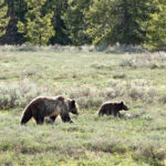 Karuema tuli koos nelja pojaga taluõuele uudistama