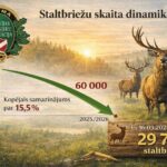 Lätis on punahirvede arvukus languses