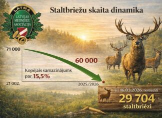 Lätis on punahirvede arvukus languses