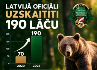 Lätis on juba pea 200 karu