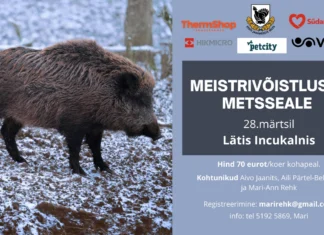 Lätis saavad jahikoerad võistelda