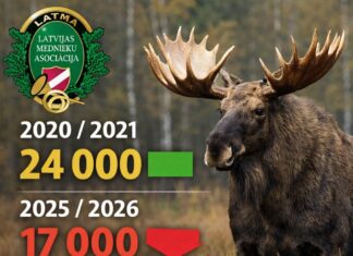 Põtrade populatsioon on Lätis selges languses