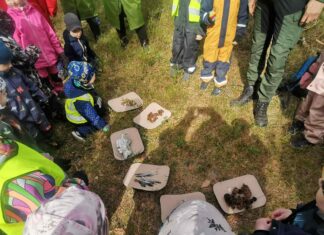 Lastega loodusesse: Padise lapsed õppisid loodust tundma