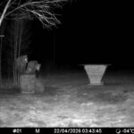 PILTUUDIS: Karud toiduootel