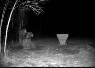 PILTUUDIS: Karud toiduootel