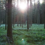 Lastega loodusesse: jahimehed tõid Pühajärve põhikooli õpilastele looduse lähemale