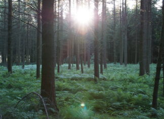 Lastega loodusesse: jahimehed tõid Pühajärve põhikooli õpilastele looduse lähemale
