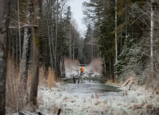 Tõnis Korts: miks olen jahimees?
