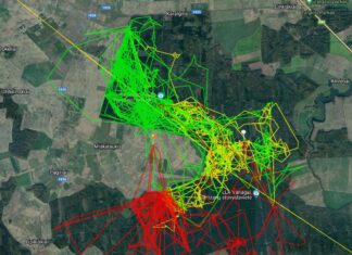 Vandenõuteooriad, müüdid ja tegelikkus: kuidas seakatk muutis metssigade käitumist?