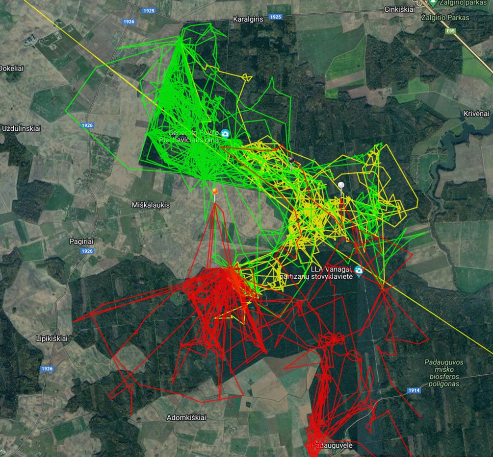 SAKi teema lätis- metssigade liikumine medziokle