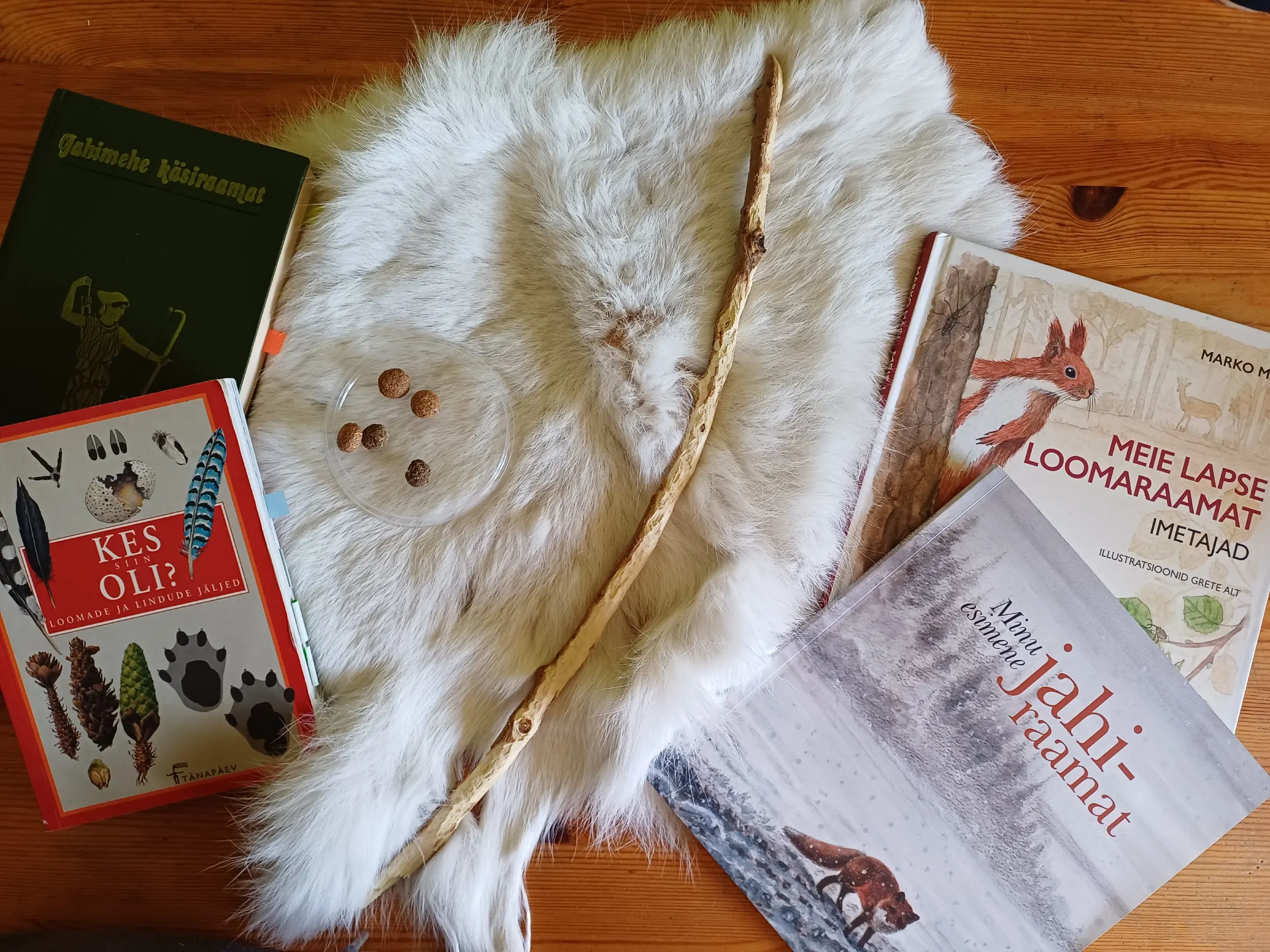 21. aprillil tutvustas Jahindusühistu Gun & Shot jahimees Väike-Maarja Gümnaasiumi kuuendate klassidele õpilastele loodust ja jahindust. Huvilisi oli kokku 30. 