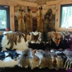 Mäeotsa hobitalus saab osaleda taimpargi koolitusel