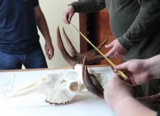 Trofeede mõõtmine Läänemaal