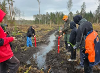 Lastega loodusesse: Ruila õpilased said tõelise elamuse metsas