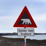 Norras avastati jääkarul linnugripp