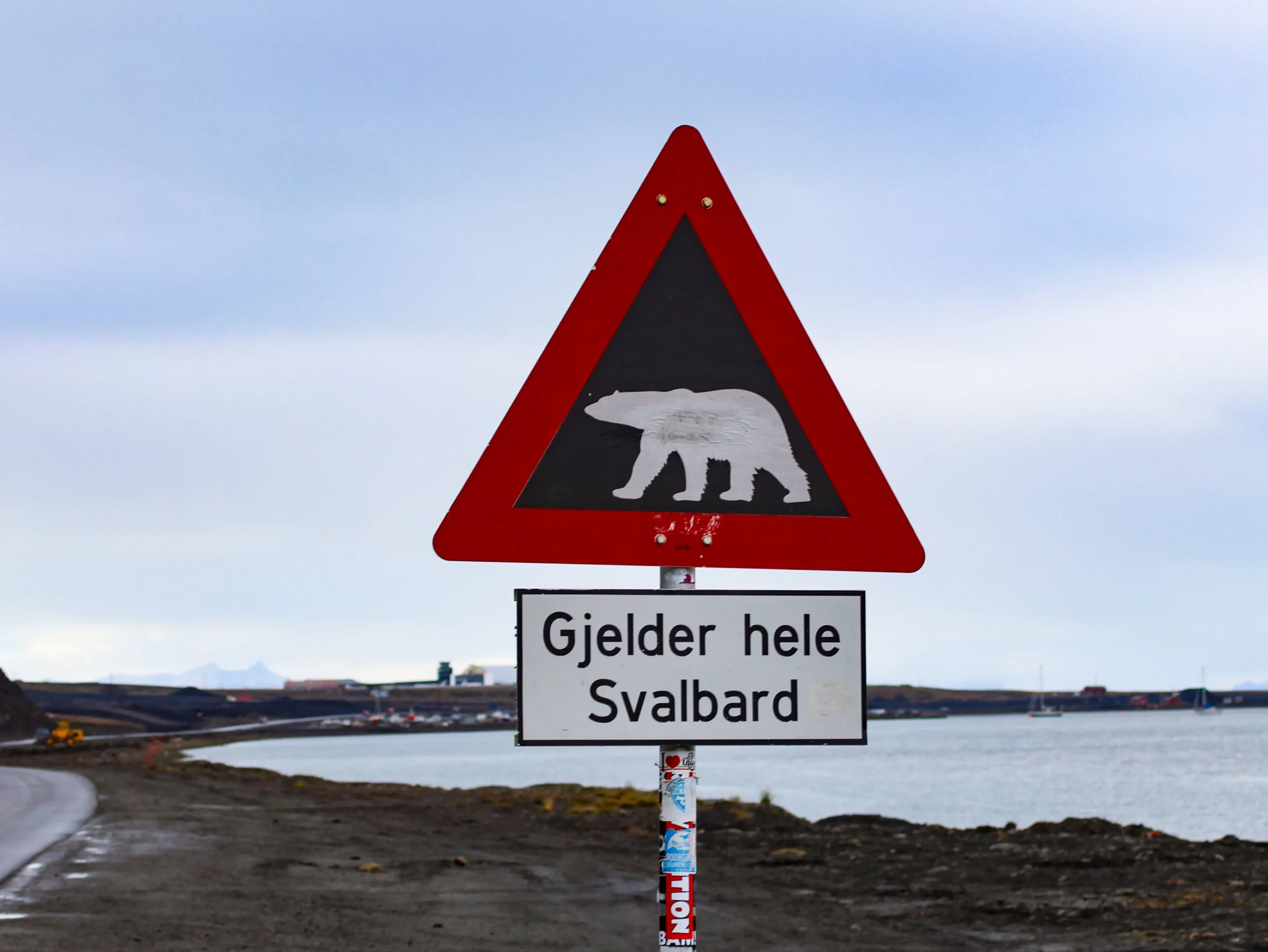 Svaldbard jääkarud
