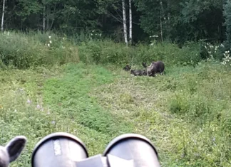 Kaks Eestit? Karujahi vaidlus vajab ühtset riiklikku arusaama