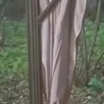 Hunt tuli Arukülas koduhoovi uudistama
